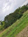 Foto - Grundstück zur Miete in Zehdenick