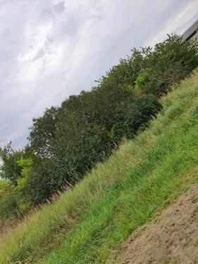 Foto - Grundstück zur Miete in Zehdenick