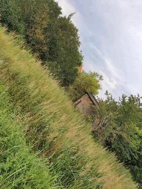 Foto - Grundstück in Zehdenick
