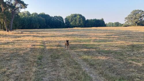 Foto - Acker, Ackerland - 3,00&nbsp;EUR Kaltmiete, ca.&nbsp; 0,00&nbsp;m&sup2;