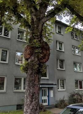 Foto - Kapitalanlage oder Eigennutzung - 3ZKB direkt an der Uni Kassel