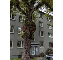 Kapitalanlage oder Eigennutzung - 3ZKB direkt an der Uni Kassel