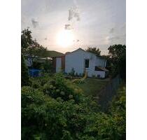 Garten in SchwedtOder Sparte Eigene Scholle ab zu geben - Angermünde