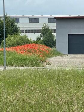 Foto - andere in Gunzenhausen zur Miete