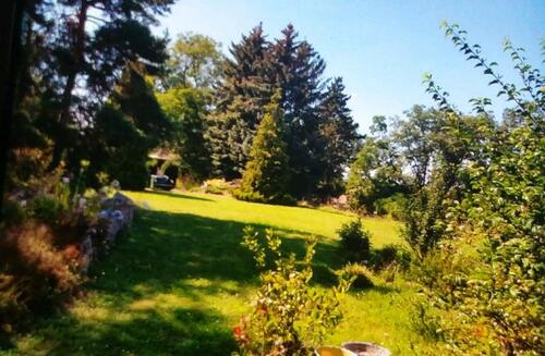 Foto - EFH in Gotha - 360.000,00 EUR Kaufpreis,