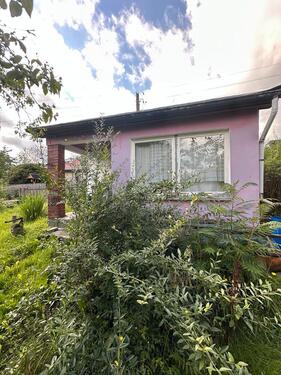 Foto - Pachtgarten in Schöneck - 600 qm mit Gartenhaus, Strom, Wasser