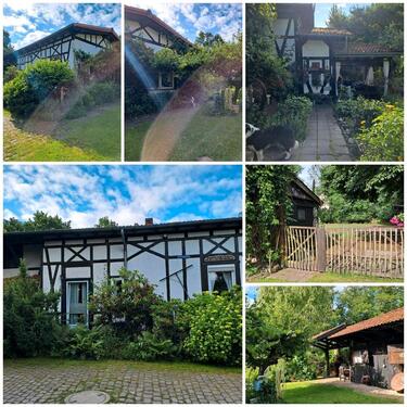 Foto - 4 Zimmer Einfamilienhaus in Schwarmstedt