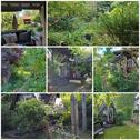Foto - Einfamilienhaus in Schwarmstedt zum Kaufen