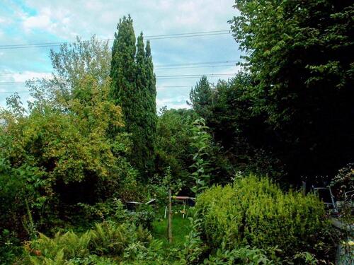 Foto - Etagenwohnung in Aachen zur Miete