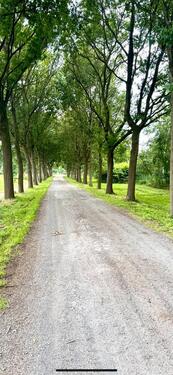 Foto - Grundstück in Lilienthal zur Miete