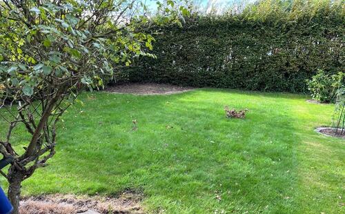 Foto - Etagenwohnung in Neuenkirchen zur Miete