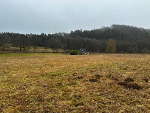 Foto - Einfamilienhaus in Simmern/Hunsrück