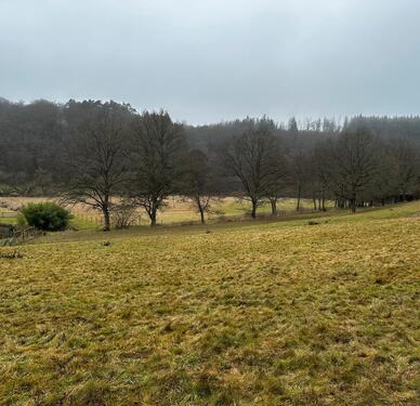 Foto - Einfamilienhaus in Simmern/Hunsrück zum Kaufen