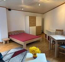1 Zimmer, Küche, Bad voll möbiliert, incl. aller Nebenkosten 590 - Waldalgesheim