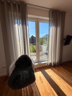 Foto - Doppelhaushälfte in Lingen (Ems) zum Kaufen