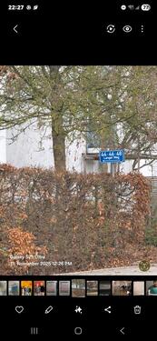 Foto - andere in Obertraubling