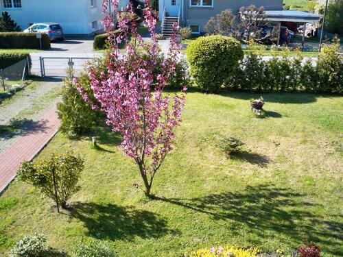 Foto - 4 Zimmer Einfamilienhaus zum Kaufen in Kühlungsborn