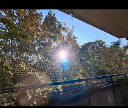 Foto - 1 Zimmer andere in Berlin