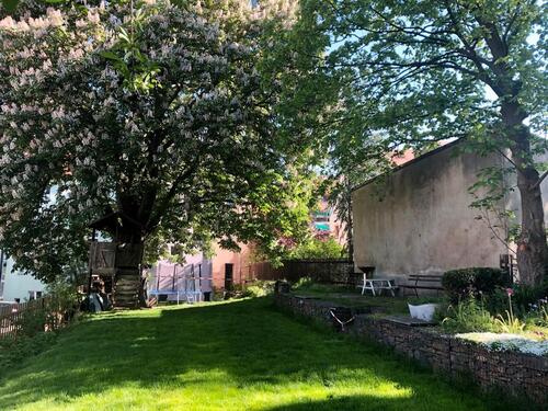 Foto - Charmante 1-Zimmer-Gartenwohnung mit Südterrasse – zu vermieten
