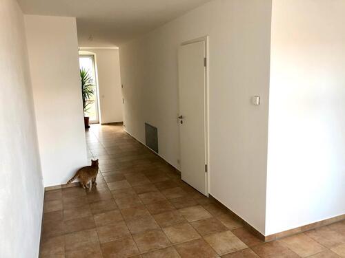 Foto - Etagenwohnung in Freiberg