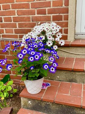 Foto - Etagenwohnung in Bad Schwartau zur Miete