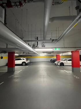 Foto - andere in Dresden