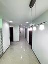 Foto - Die lichtdurchflutete 3 Zimmer Wohnung in Salzgitter-Thiede