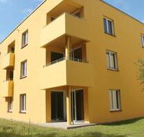 Mehr als Wohnen: 3-Zimmer-Wohnung im grünen Gemeinschaftsquartier am Ryck - Greifswald