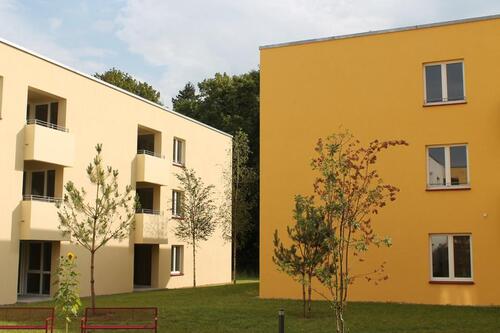 Foto - Etagenwohnung zur Miete in Greifswald