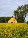 Foto - Einfamilienhaus in Lubmin