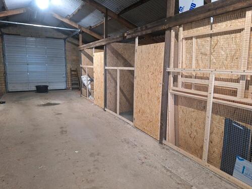 Foto - andere in Busdorf