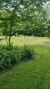 Foto - idyllisches Freizeitgrundstück am Waldrand in 85386 Eching