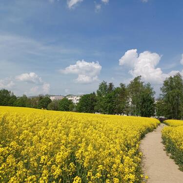 Foto - 2 Zimmer zum Glück! - 345,00 EUR Kaltmiete, ca.  50,59 m²