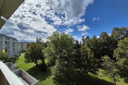 Foto - 'Herrlich grüne Aussicht' inklusive!!!