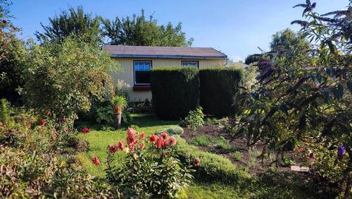 Foto - Pachtgarten in Teutschenthal Eisdorf