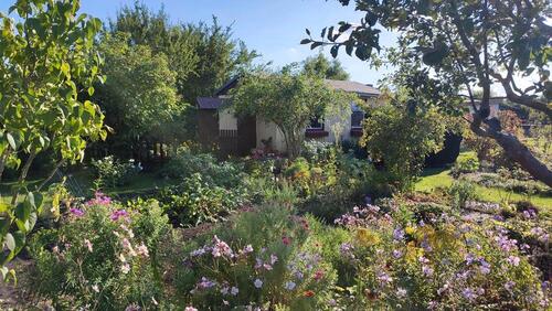 Foto - Grundst&uuml;ck zur Miete in Halle (Saale)