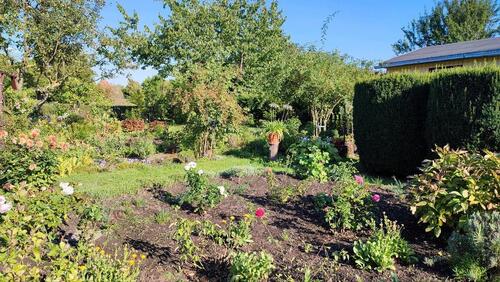 Foto - Grundst&uuml;ck in Halle (Saale)