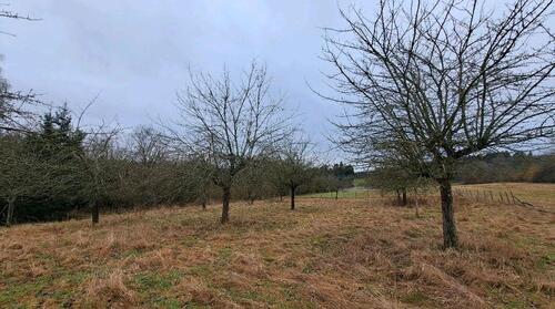 Foto - Grundst&uuml;ck in Nister zur Miete