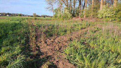 Foto - Freizeitgrundstück Schrebergarten Kleingarten Neustadt Donau