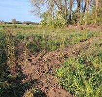 Freizeitgrundstück Schrebergarten Kleingarten Neustadt Donau - Neustadt an der Donau