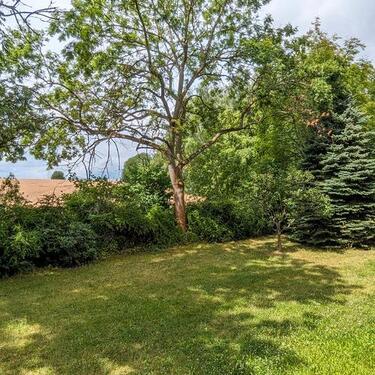 Foto - Grüne Lage, Balkon und Aufzug - 420,00 EUR Kaltmiete,