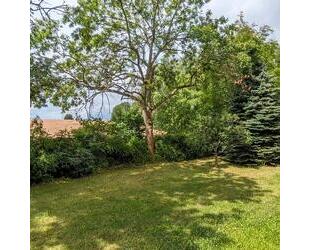 Wohnung mit Wohnberechtigungsschein - Freiberg