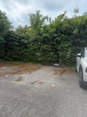 Foto - Stellplatz im Ilmenauweg in Flensburg zu vermieten.