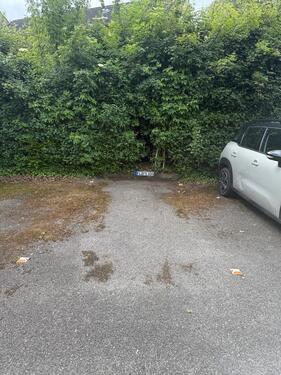 Foto - andere zur Miete in Flensburg