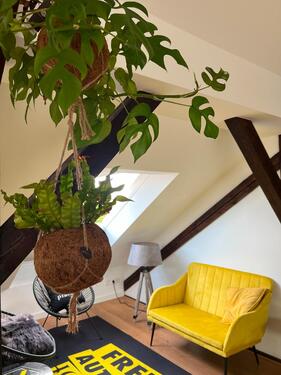 Foto - andere in Hannover