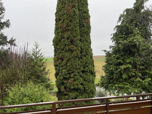 Foto - Einfamilienhaus zum Kaufen in Kornwestheim