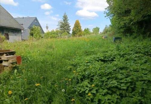 Foto - Mehrfamilienhaus, Wohnhaus in Großbreitenbach zum Kaufen