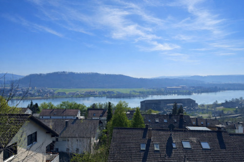 Foto - 3.5 Zimmer Erdgeschoßwohnung in Waldshut-Tiengen