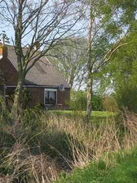Foto - Einfamilienhaus in Krummhörn zum Kaufen