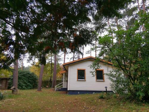 Foto - andere in Neustadt am Rübenberge